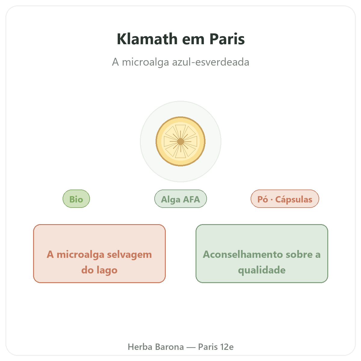 Klamath Paris Paris - apresentação da marca na Herba Barona Paris 12e
