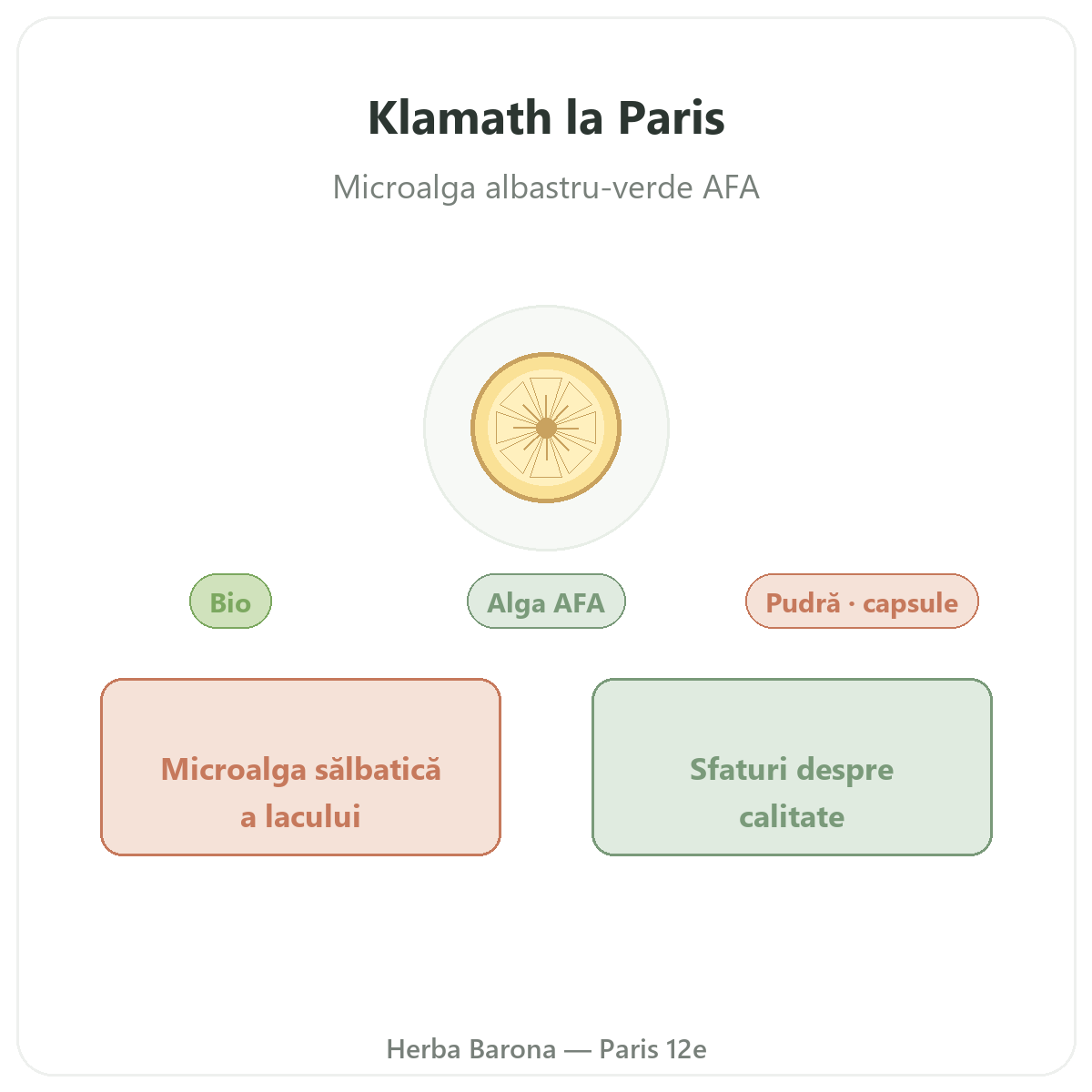 Klamath Paris Paris - presentation de la marque chez Herba Barona Paris 12e