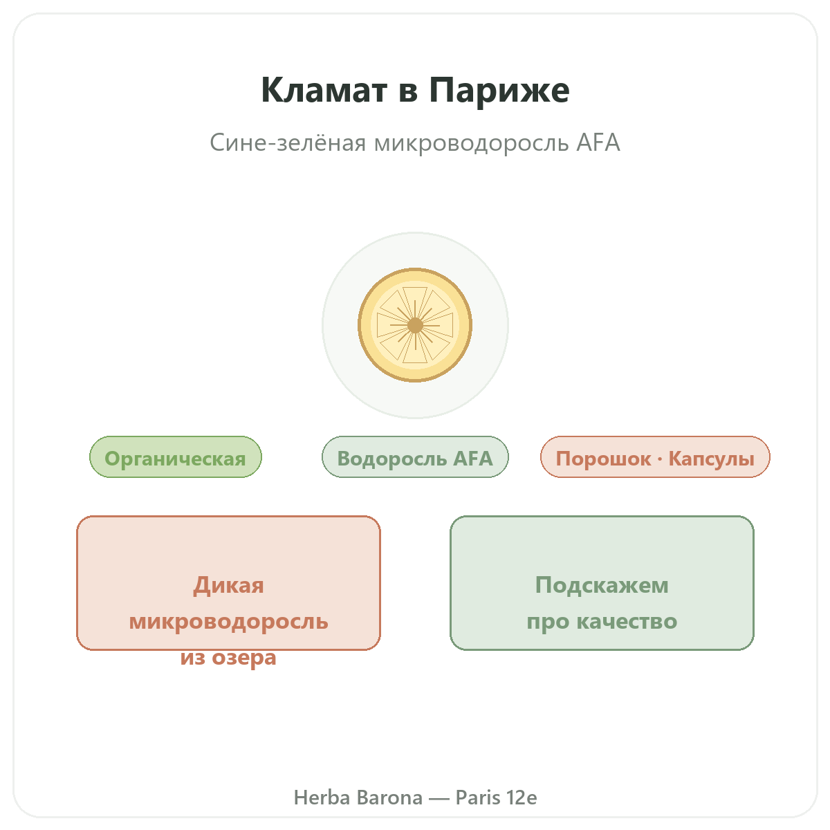 Klamath Париж — презентация бренда в Herba Barona, Париж, 12-й округ