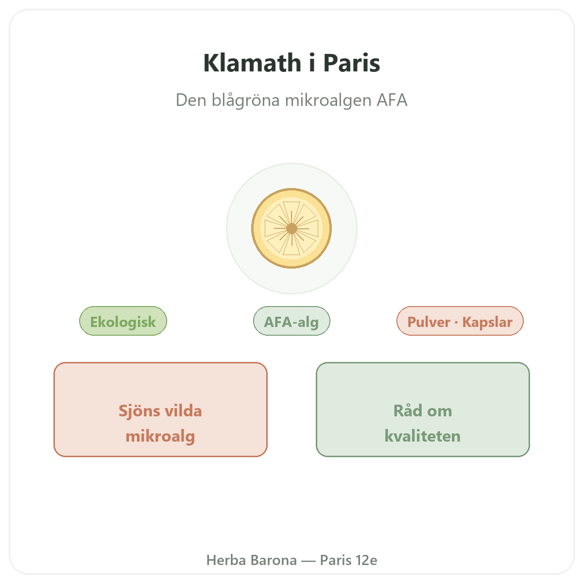 Klamath i Paris - presentation hos Herba Barona Paris 12e