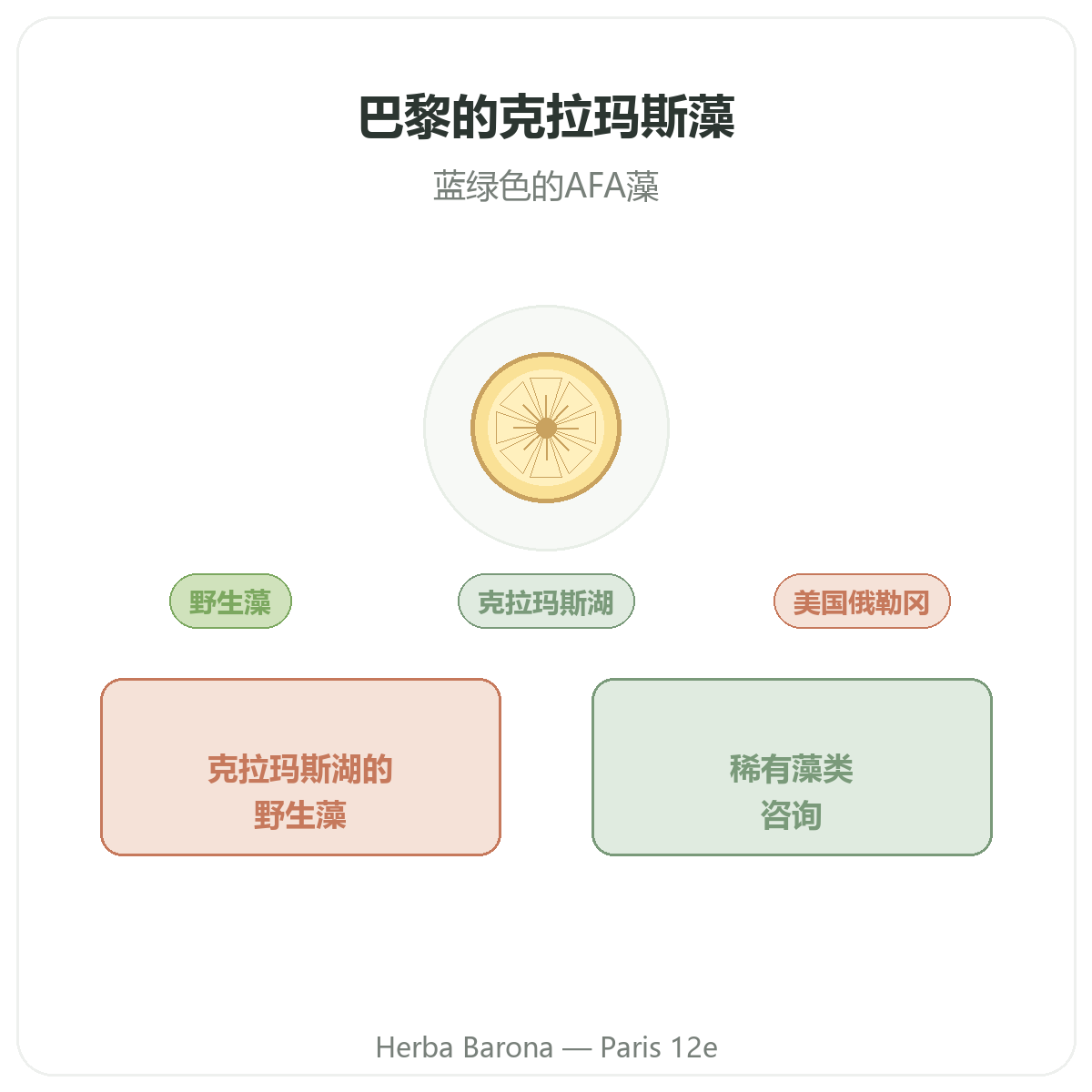 巴黎克拉玛斯藻 - 品牌介绍,巴黎12区 Herba Barona