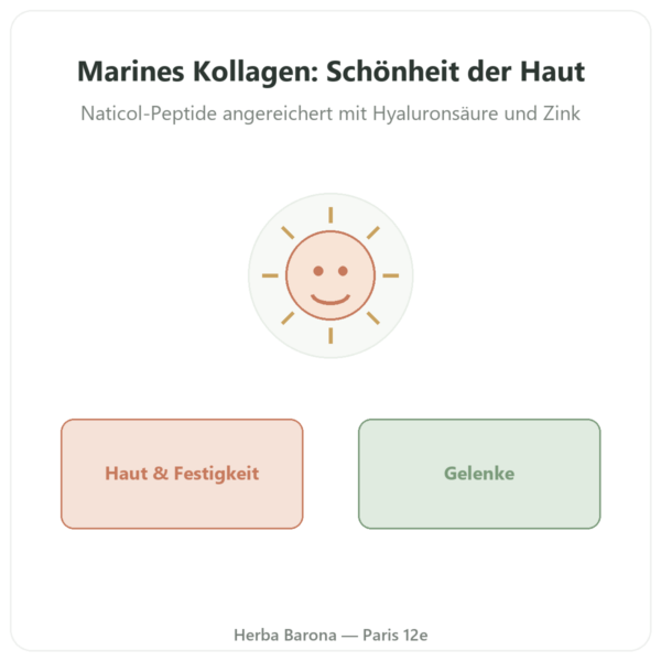Marines Kollagen Naticol® + Hyaluronsäure – Novoma – 90 Kapseln Vorstellung Paris Herba Barona