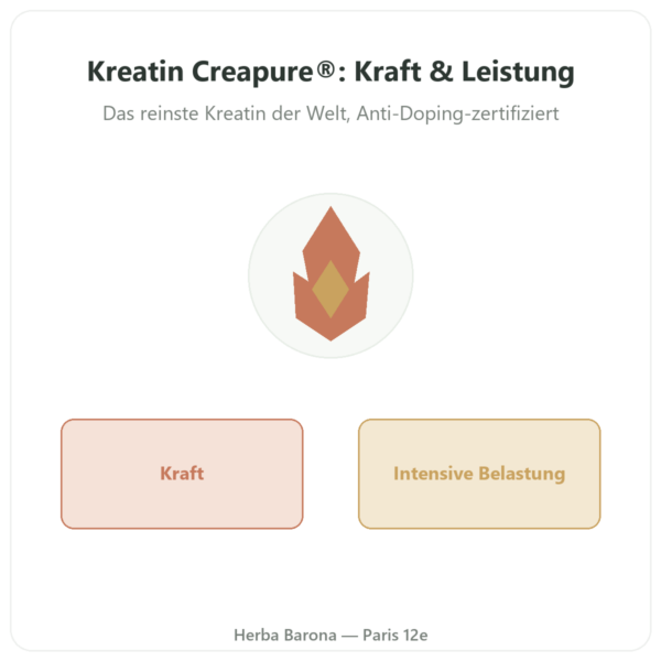 Kreatin Creapure® Pulver 180 g – Novoma Vorstellung Paris Herba Barona