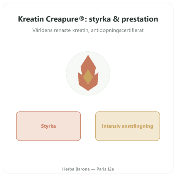 Kreatin Creapure i Pulverform 180 g – Novoma presentation Paris Herba Barona