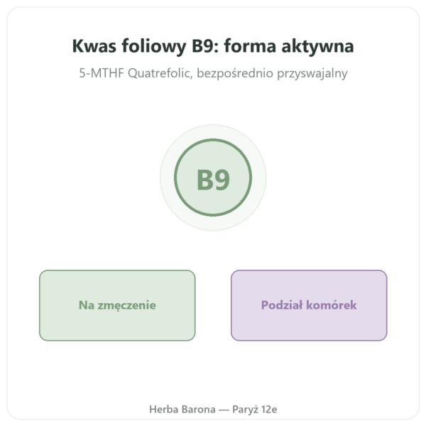 Kwas Foliowy witamina B9 – Novoma prezentacja Paris Herba Barona