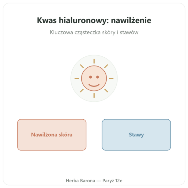 Kwas Hialuronowy – Novoma – 90 Kapsułek prezentacja Paris Herba Barona