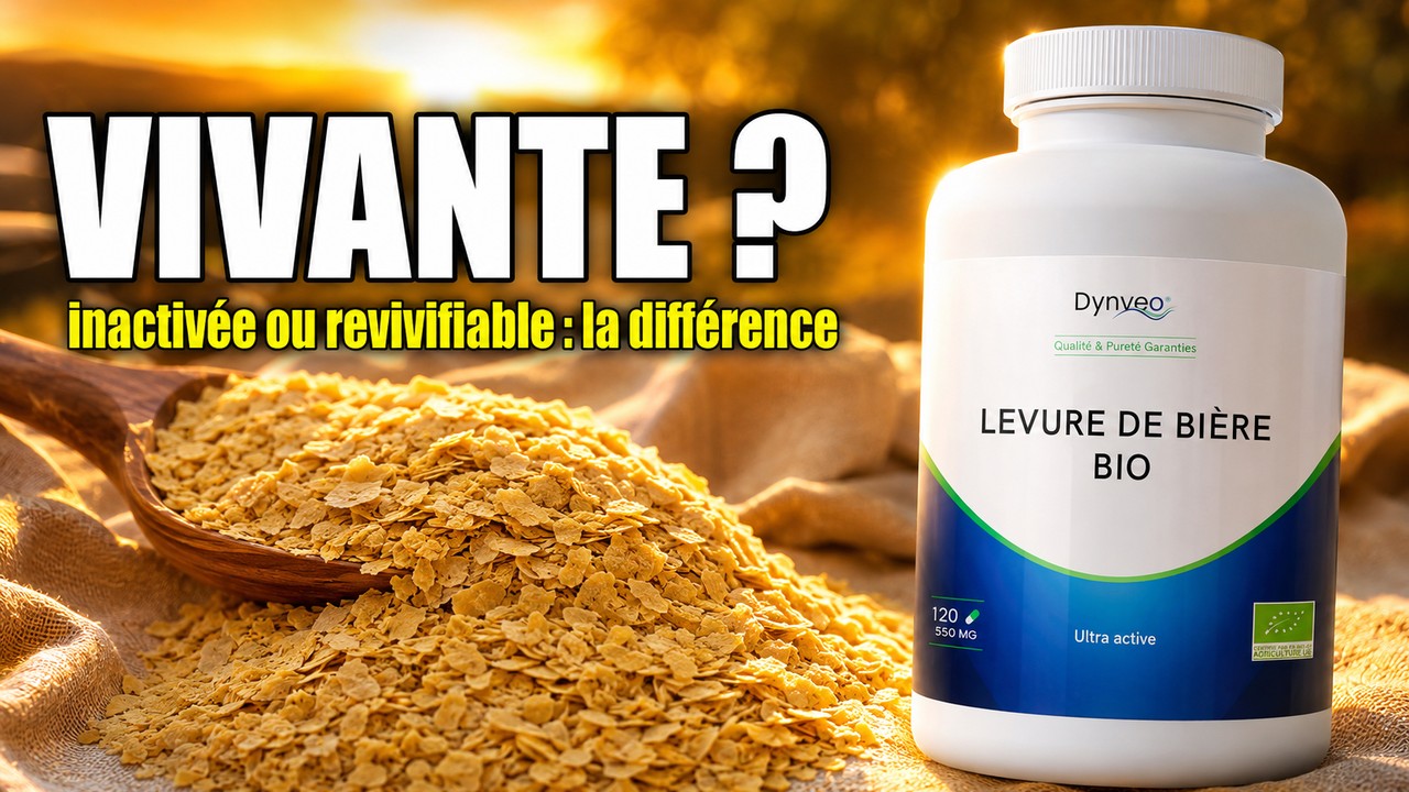 Canlı BIO bira mayası Dynveo videosu Paris Herba Barona