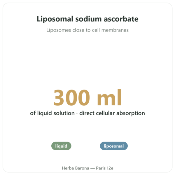 Liposomal Vitamin C Liquid - Novoma - 300ml benefits and key facts Paris Herba Barona