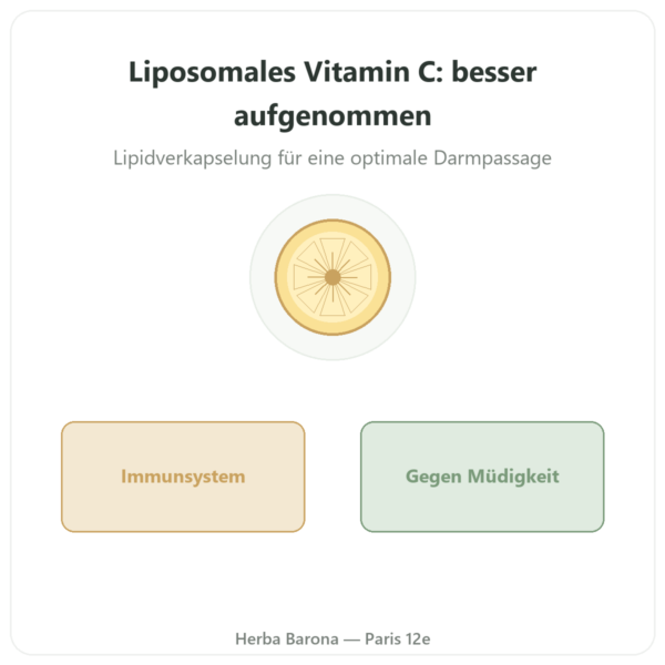 Liposomales Vitamin C Quali®-C 1000 mg – Novoma – 90 Kapseln Vorstellung Paris Herba Barona