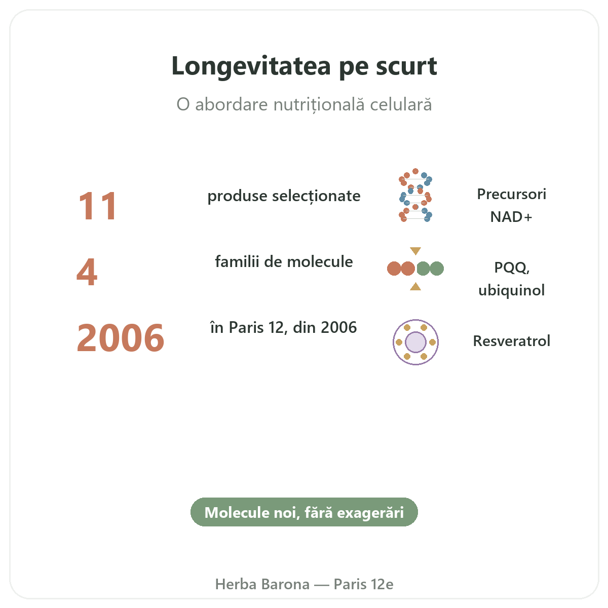 Suplimente pentru longevitate și anti-îmbătrânire pe scurt - cifre cheie la Herba Barona, Paris, arondismentul 12
