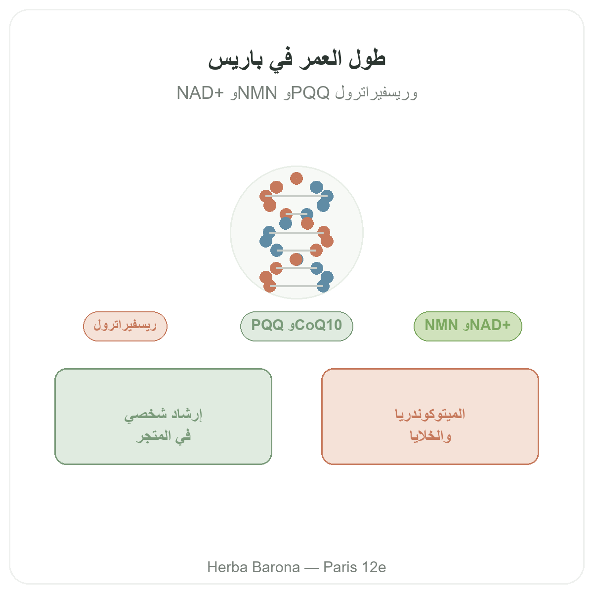 مكملات طول العمر ومكافحة الشيخوخة في باريس - لدى Herba Barona باريس 12