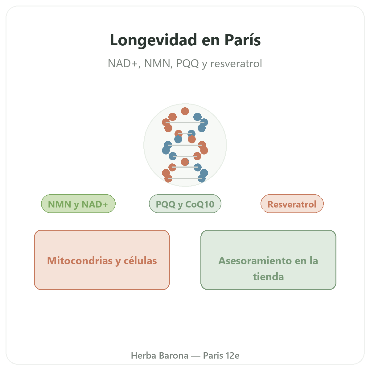 Complementos longevidad y antiedad en Paris - en Herba Barona Paris 12e