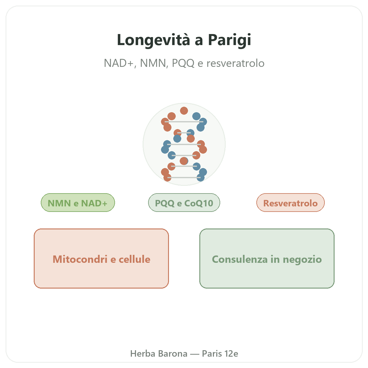 Integratori longevità e antietà a Parigi - da Herba Barona Paris 12e