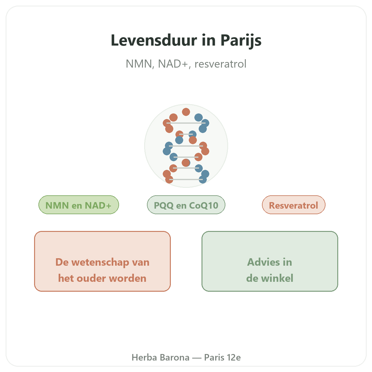 Longevity en anti-aging supplementen in Parijs - bij Herba Barona Parijs 12e