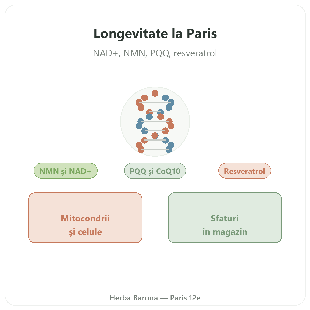 Suplimente pentru longevitate și anti-îmbătrânire la Paris - la Herba Barona, Paris, arondismentul 12