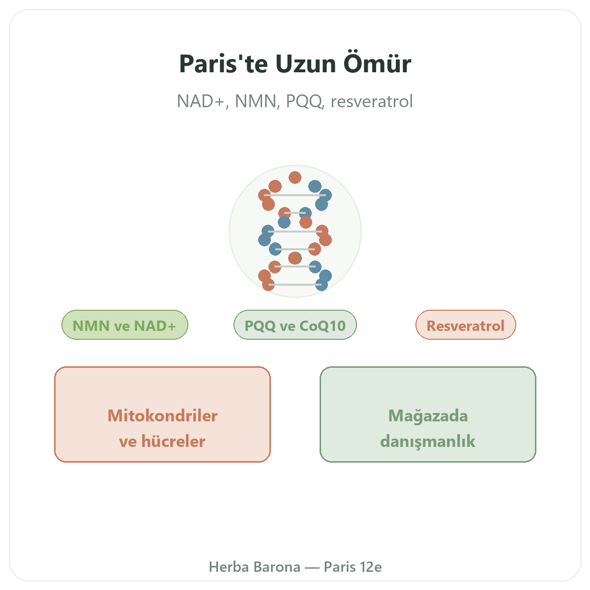 Paris’te uzun yaşam ve yaşlanma karşıtı takviyeler - Herba Barona Paris 12e
