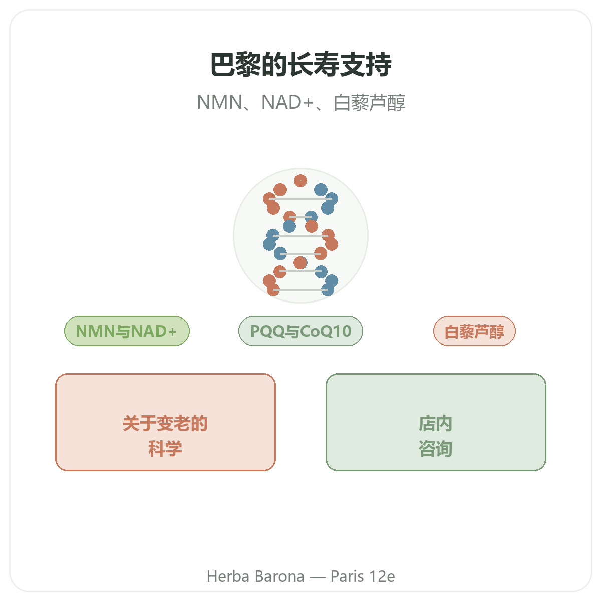 长寿与抗衰老营养补充品 巴黎 - Herba Barona 巴黎12区