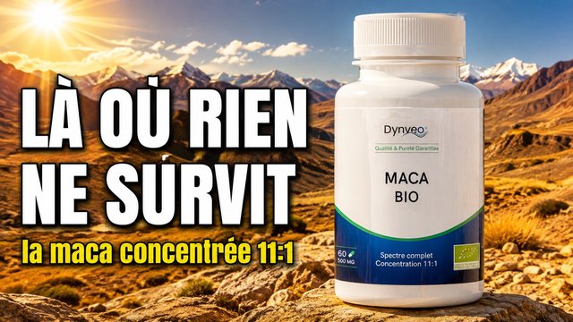 Vidéo maca bio Pérou Paris Herba Barona