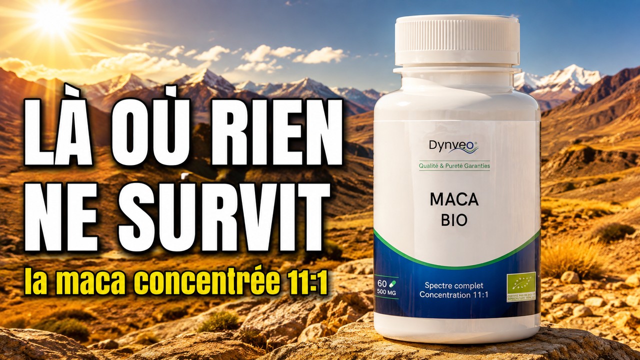 Vidéo Maca bio concentrée 500mg – 60 gélules de DYNVEO Paris Herba Barona