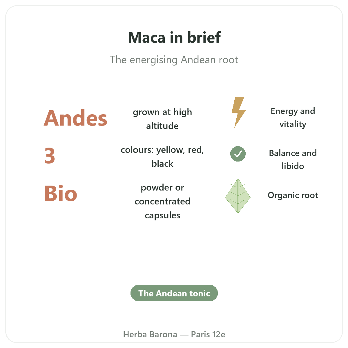 Organic Peruvian maca in Paris at a glance - key figures at Herba Barona Paris 12th