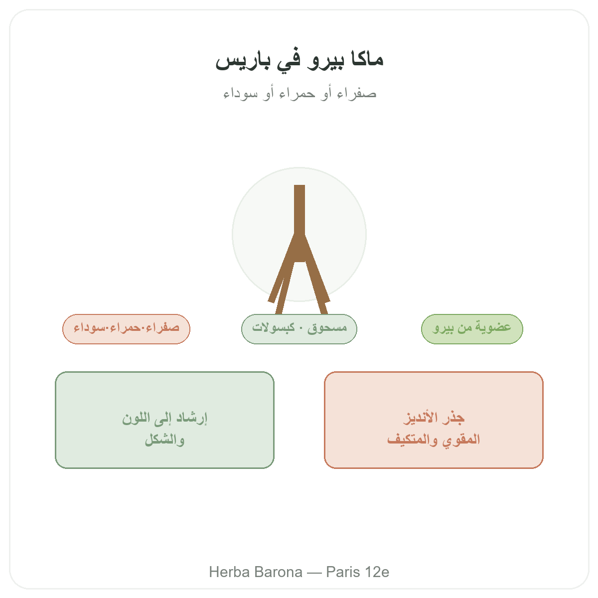 ماكا بيرو العضوية في باريس - تقديم الفئة لدى Herba Barona باريس 12