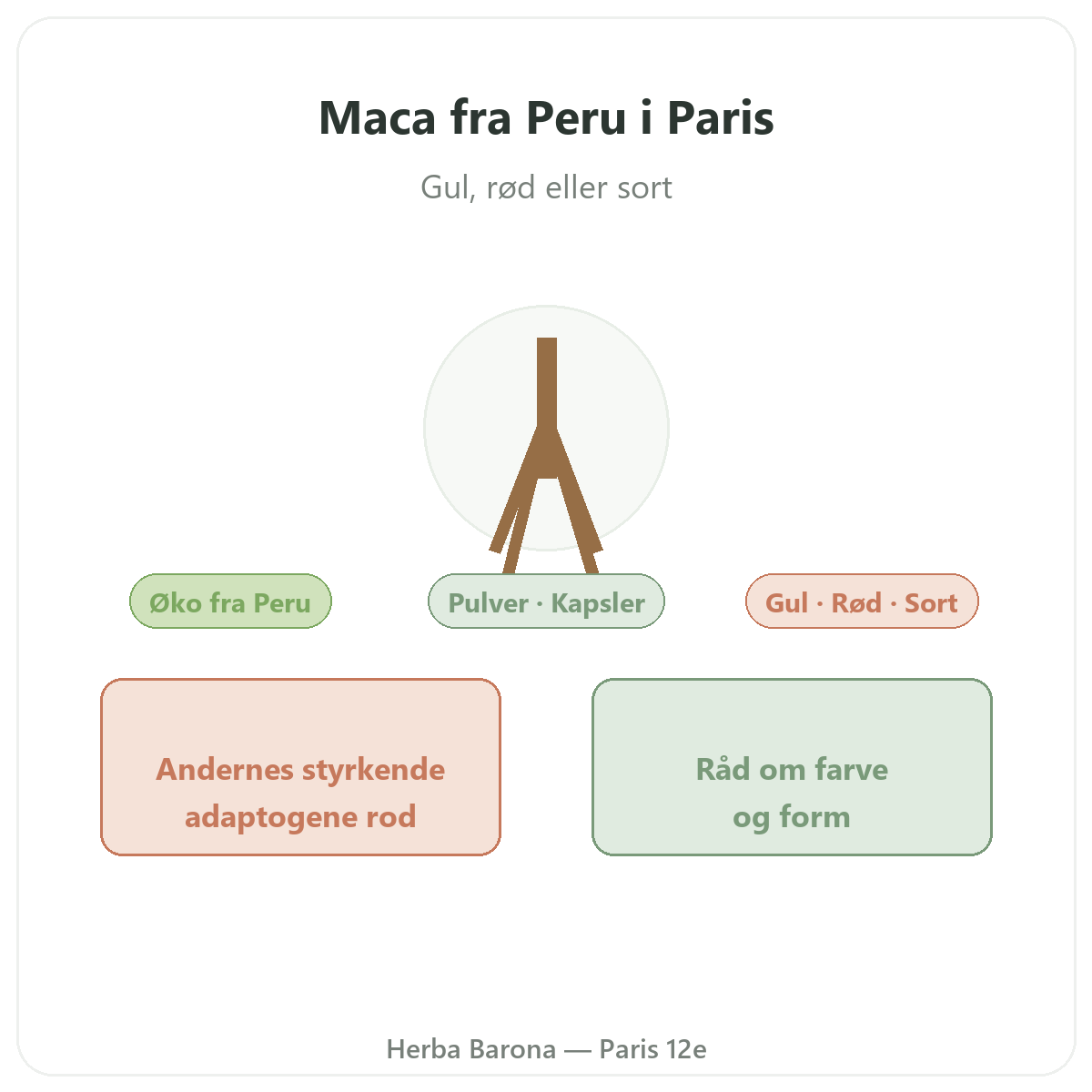 Økologisk maca fra Peru i Paris - præsentation af mærket hos Herba Barona Paris 12