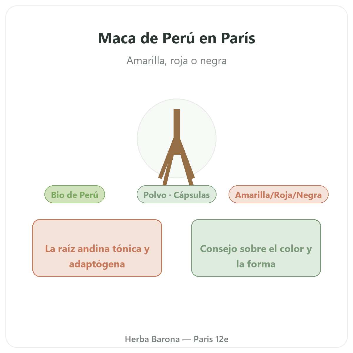 Maca bio de Perú París París - presentación de la marca en Herba Barona París 12e