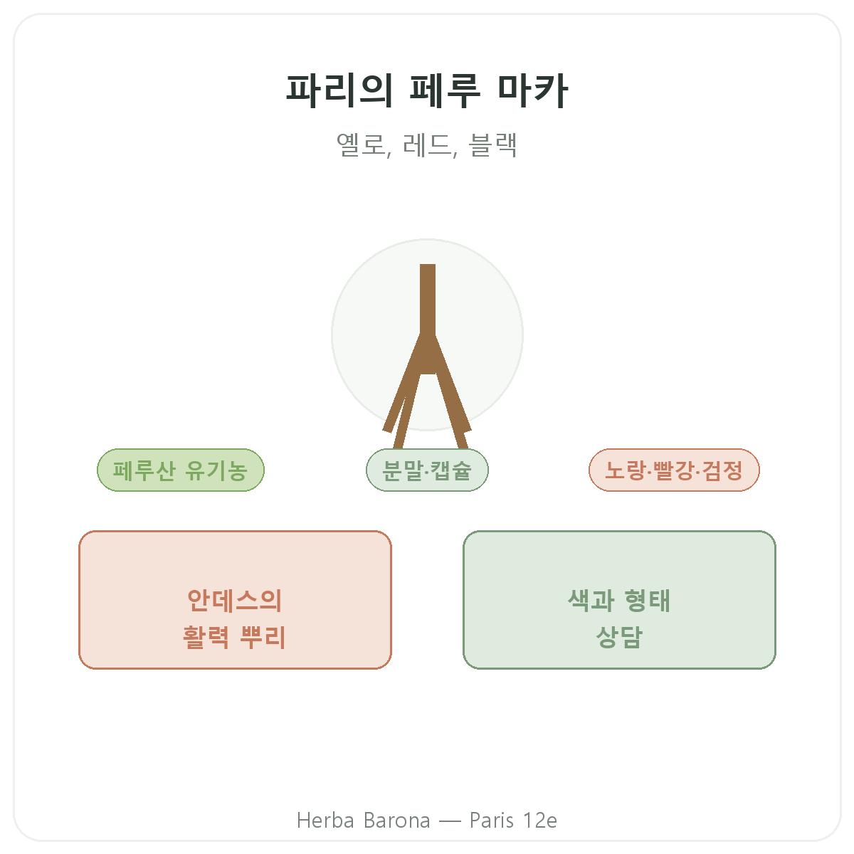 마카 바이오 페루 파리 - Herba Barona 파리 12구 브랜드 소개