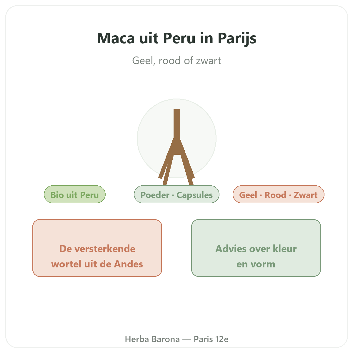 Biologische maca Peru Parijs - presentatie van het merk bij Herba Barona Parijs 12e