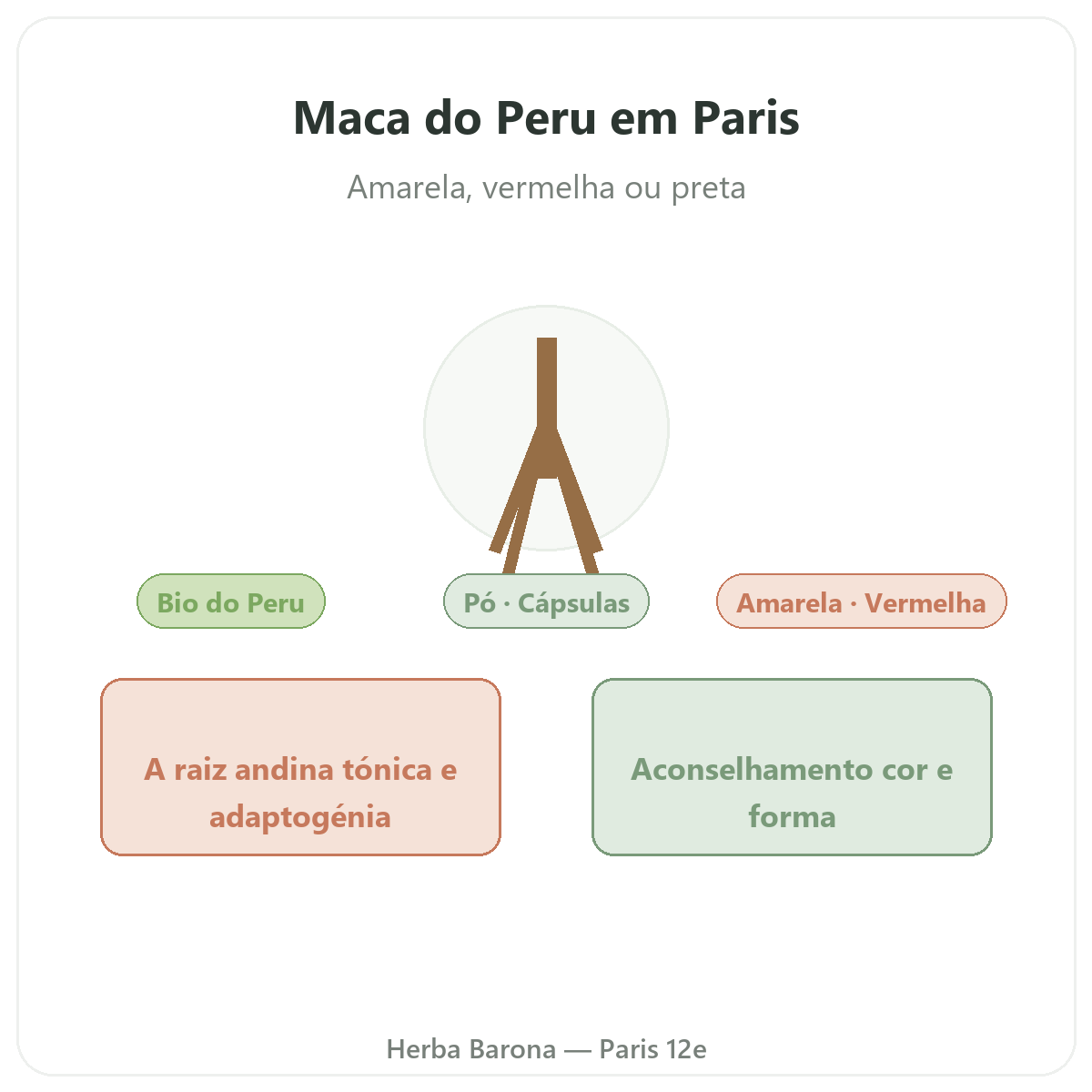 Maca bio do Peru Paris - apresentação da marca na Herba Barona Paris 12e