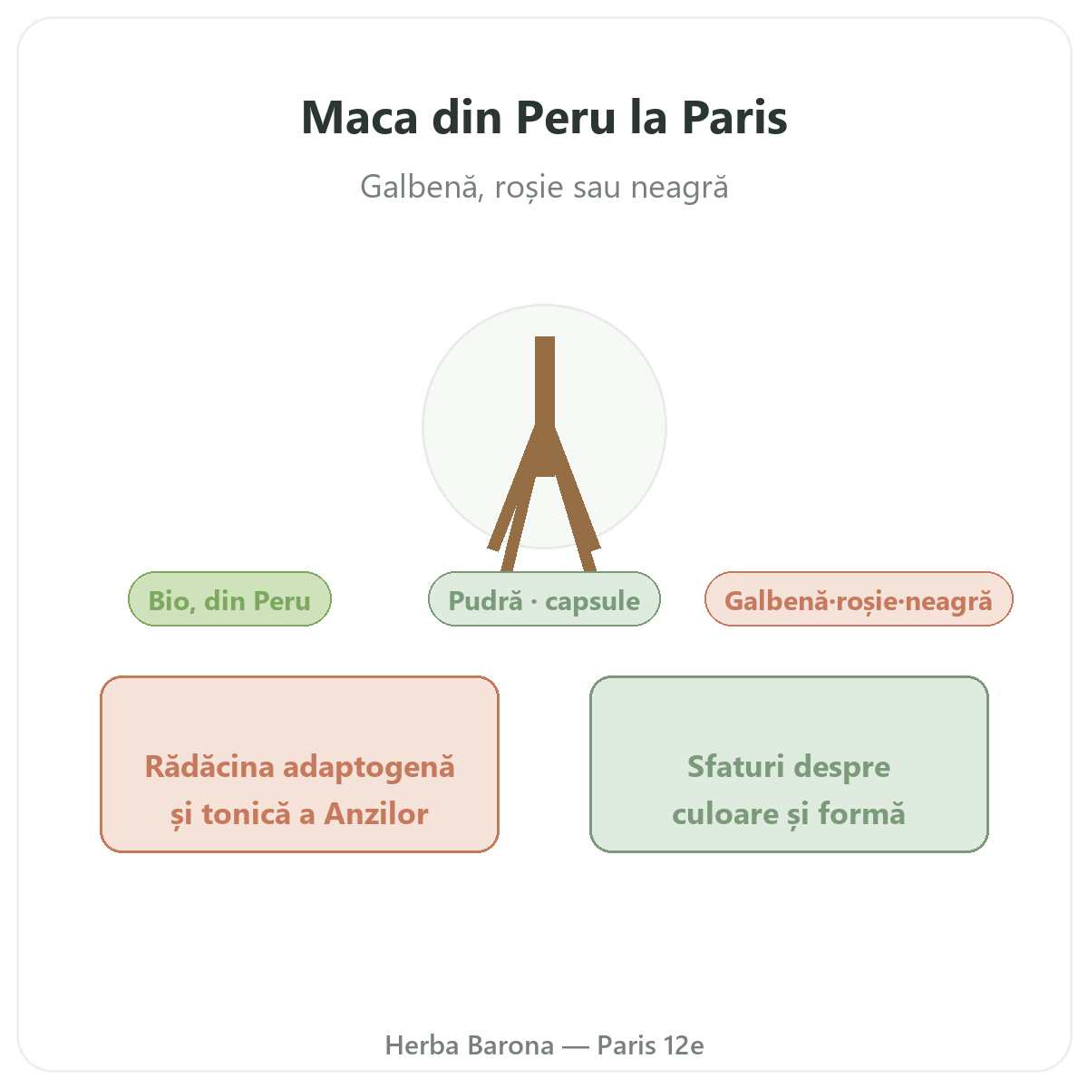 Maca bio Perou Paris Paris - presentation de la marque chez Herba Barona Paris 12e