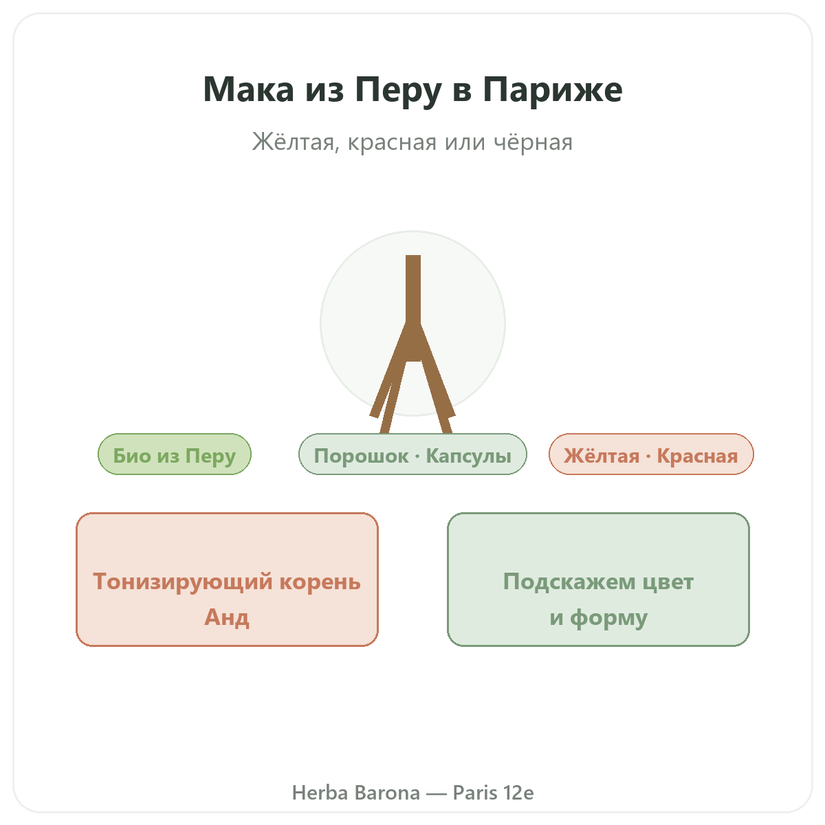 Органическая мака из Перу Париж — презентация бренда в Herba Barona, Париж, 12-й округ