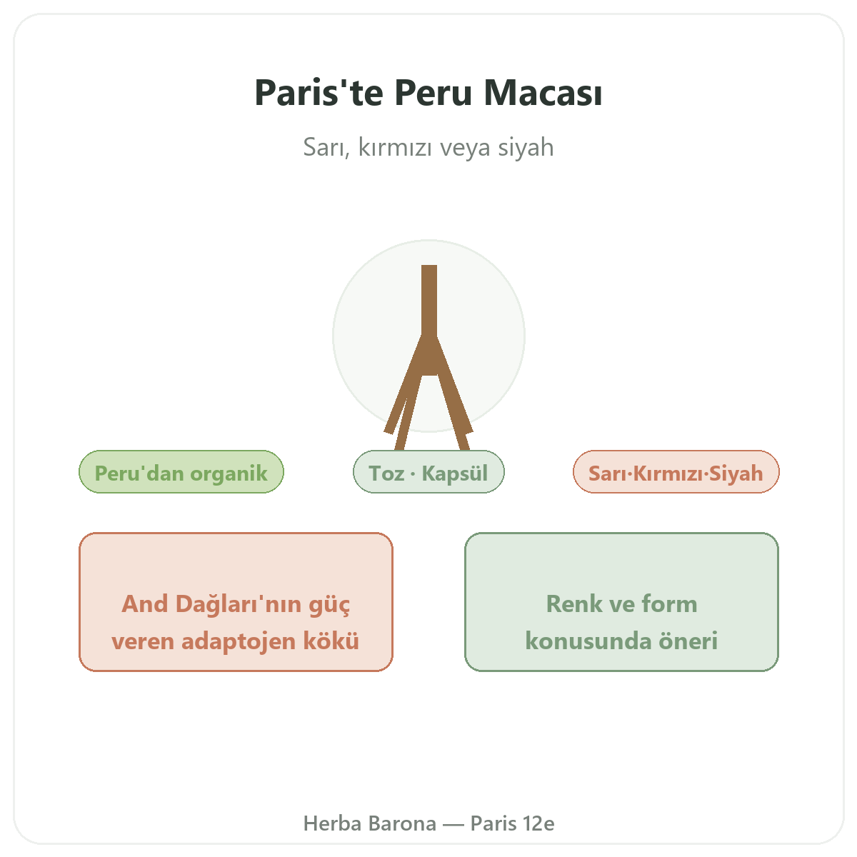 Peru Maca (Organik) Paris - Herba Barona Paris 12. bölge markasının tanıtımı