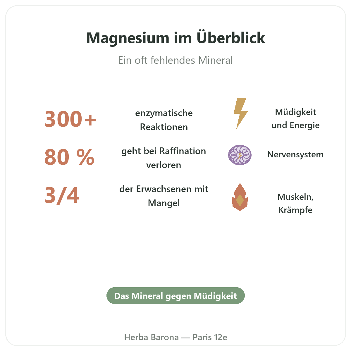 Magnesium Paris auf einen Blick – wichtige Zahlen bei Herba Barona Paris 12e