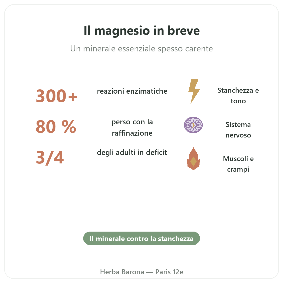 Magnesio Parigi in breve - dati chiave da Herba Barona Parigi 12e