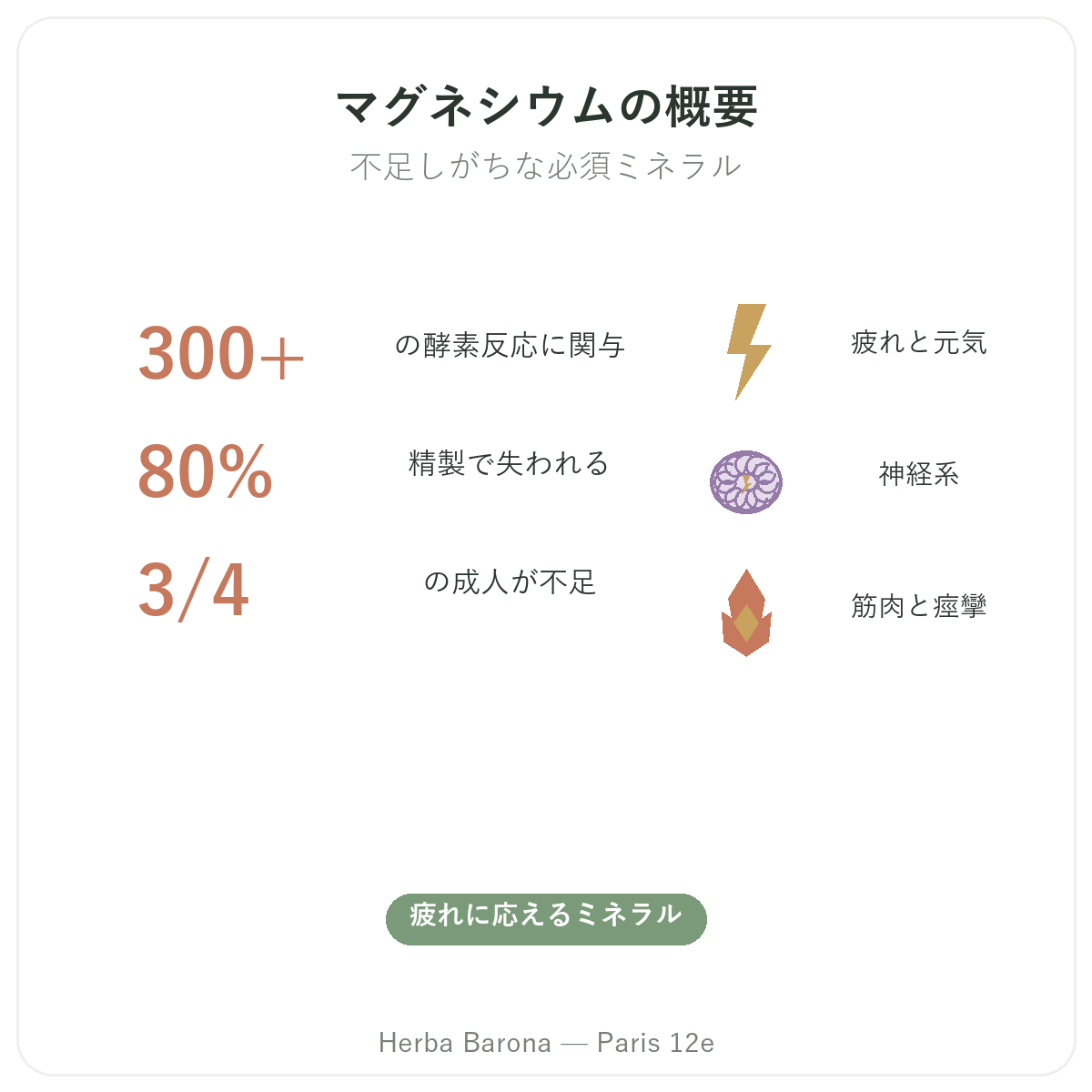 マグネシウム パリ 概要 - 主要データ Herba Barona パリ12区