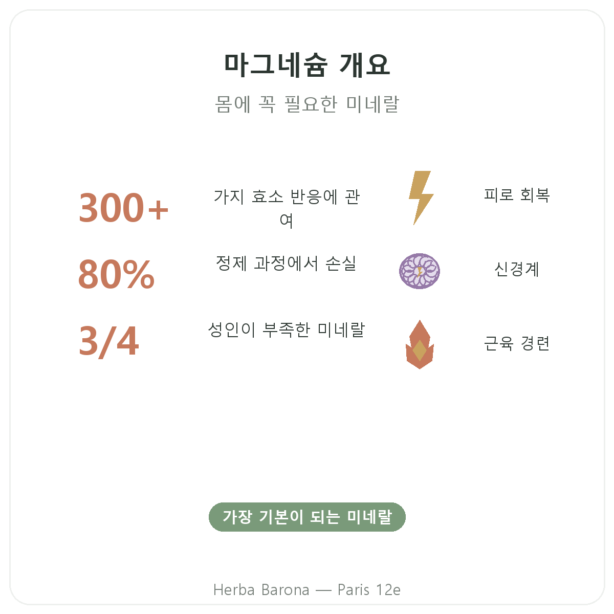 마그네슘 파리 요약 - 주요 수치, Herba Barona 파리 12구