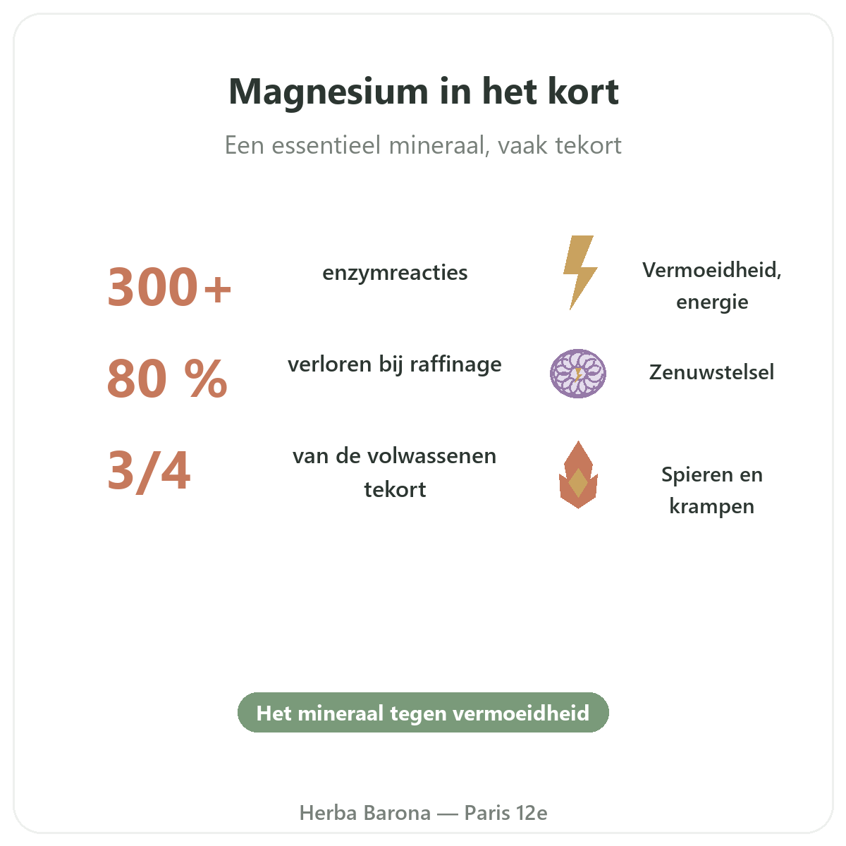 Magnesium in Parijs in het kort - kerncijfers bij Herba Barona Parijs 12e
