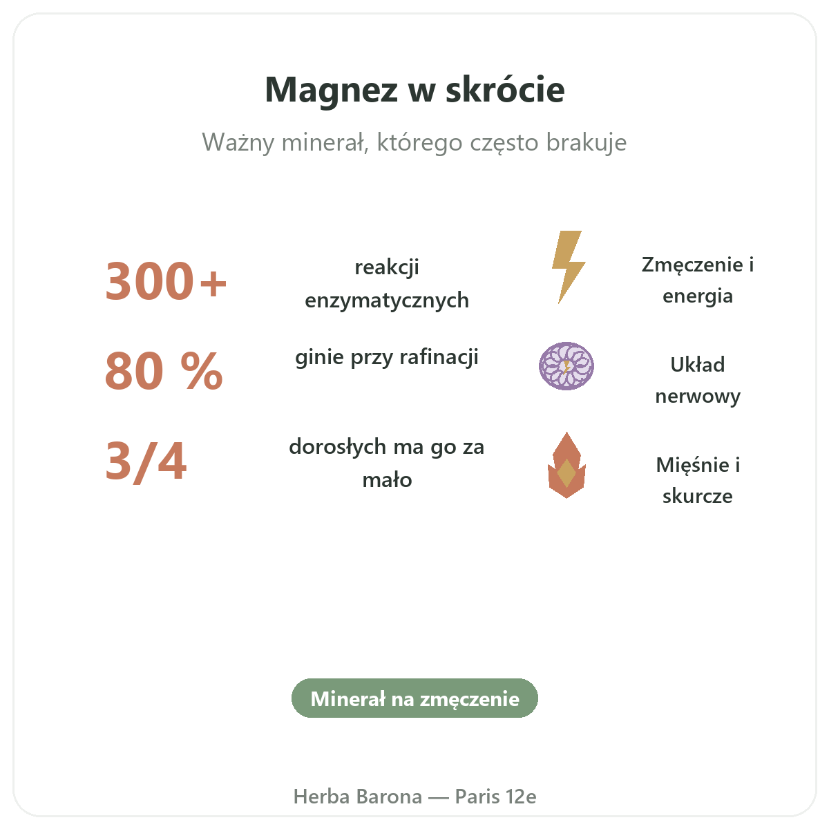 Magnez w skrócie — kluczowe informacje — Herba Barona Paryż