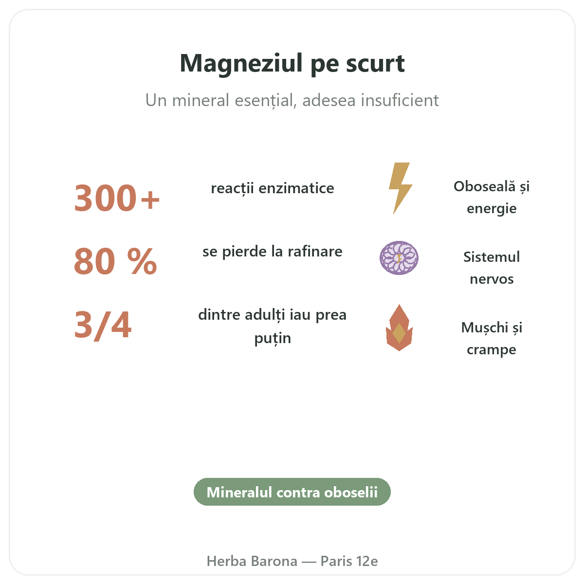 Magnesium Paris Paris en bref - chiffres cles chez Herba Barona Paris 12e