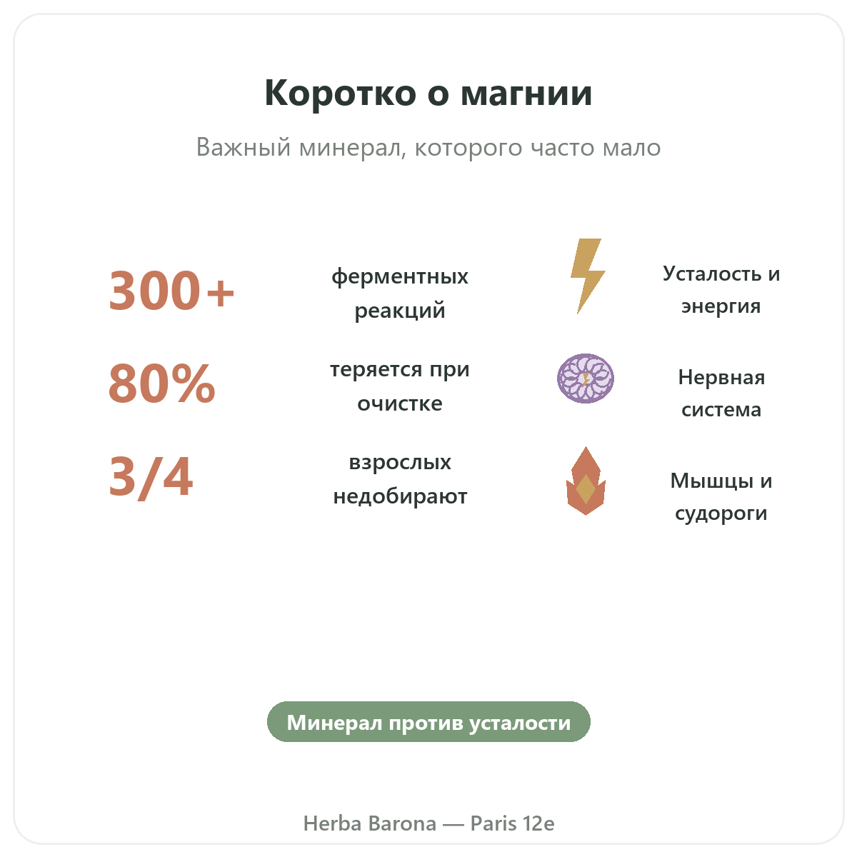 Магний в Париже кратко — ключевые цифры в Herba Barona, Париж, 12-й округ