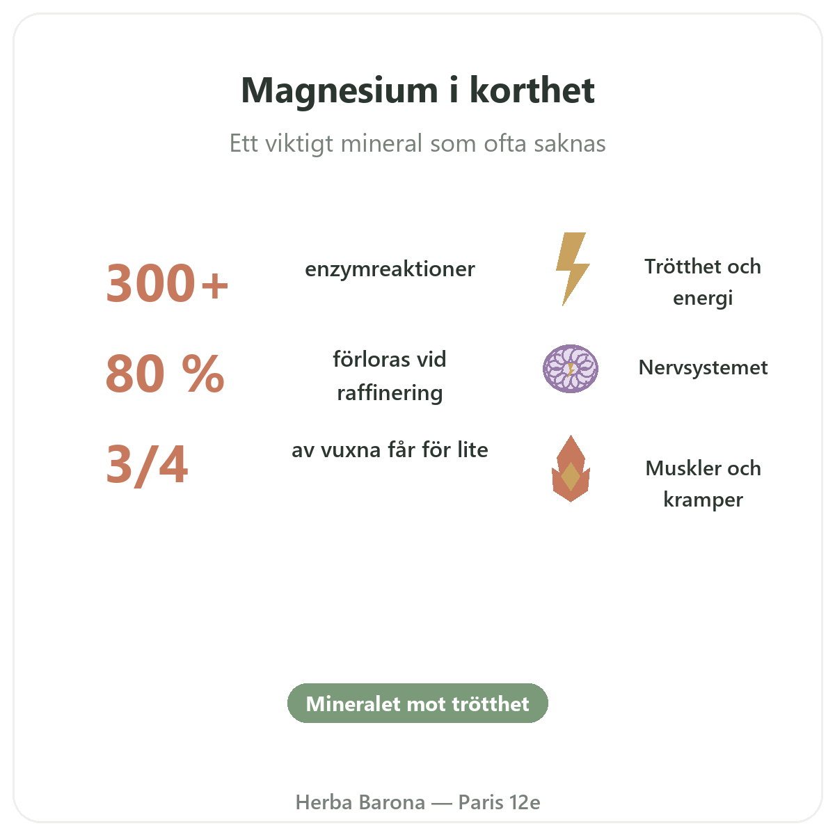 Magnesium Paris i korthet - nyckeltal hos Herba Barona Paris 12e