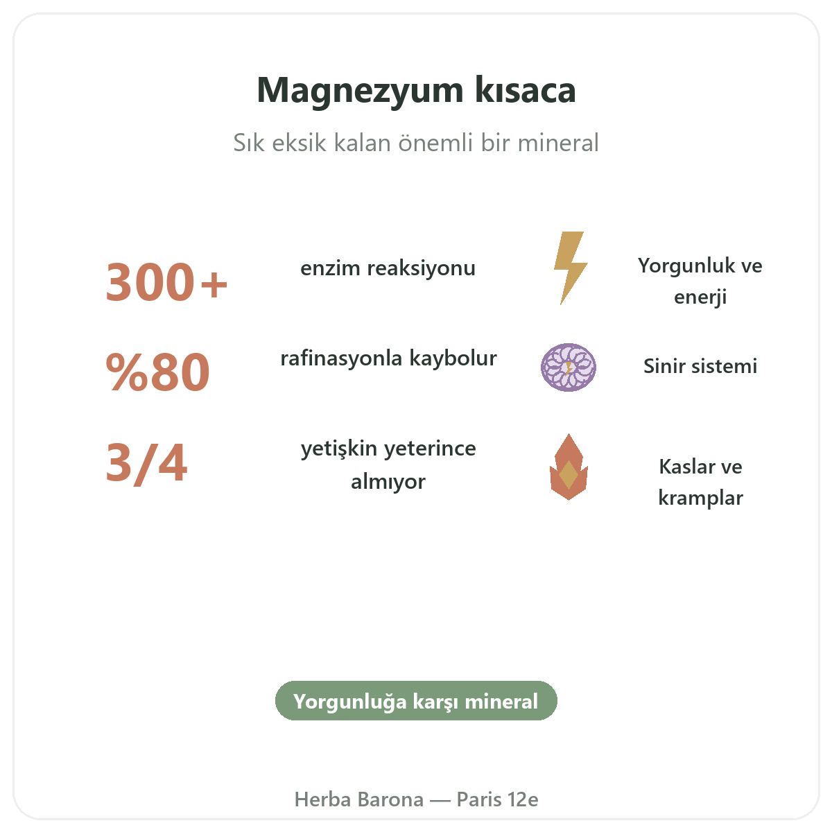 Magnezyum Paris kısaca - Herba Barona Paris 12. bölge önemli rakamlar