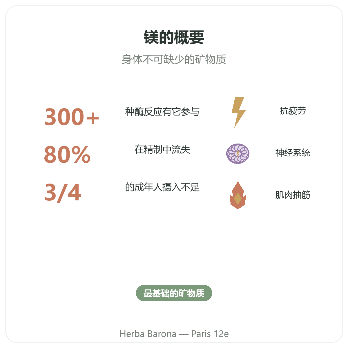 镁概览 - 巴黎Herba Barona 12区关键数据