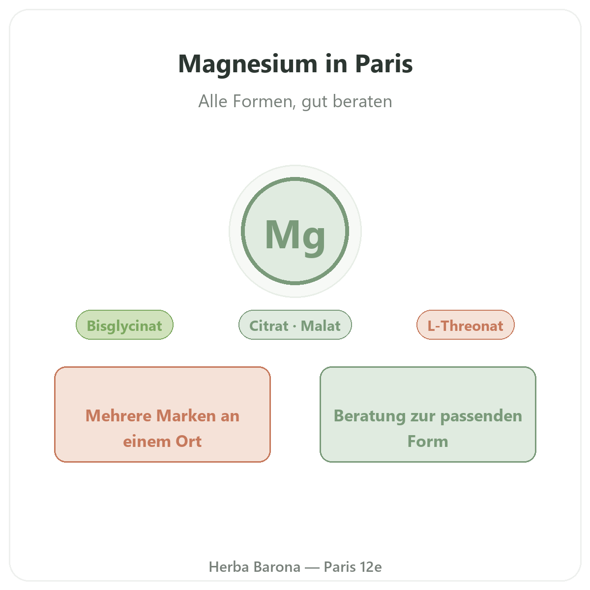 Magnesium Paris – Markenvorstellung bei Herba Barona Paris 12e
