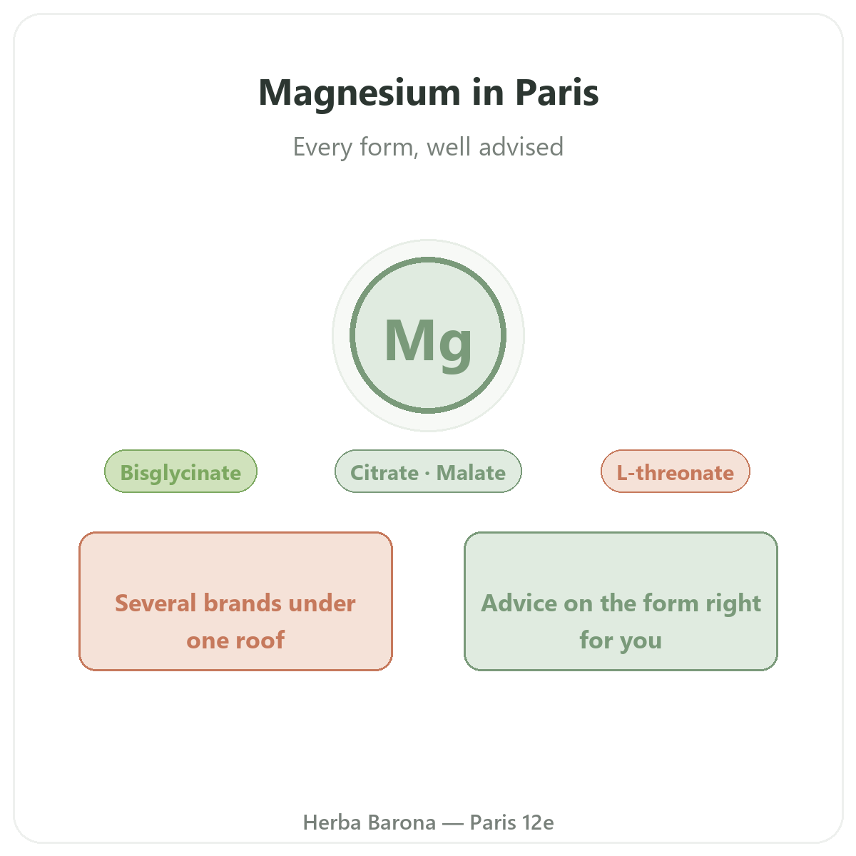 Magnesium in Paris - brand overview at Herba Barona Paris 12th