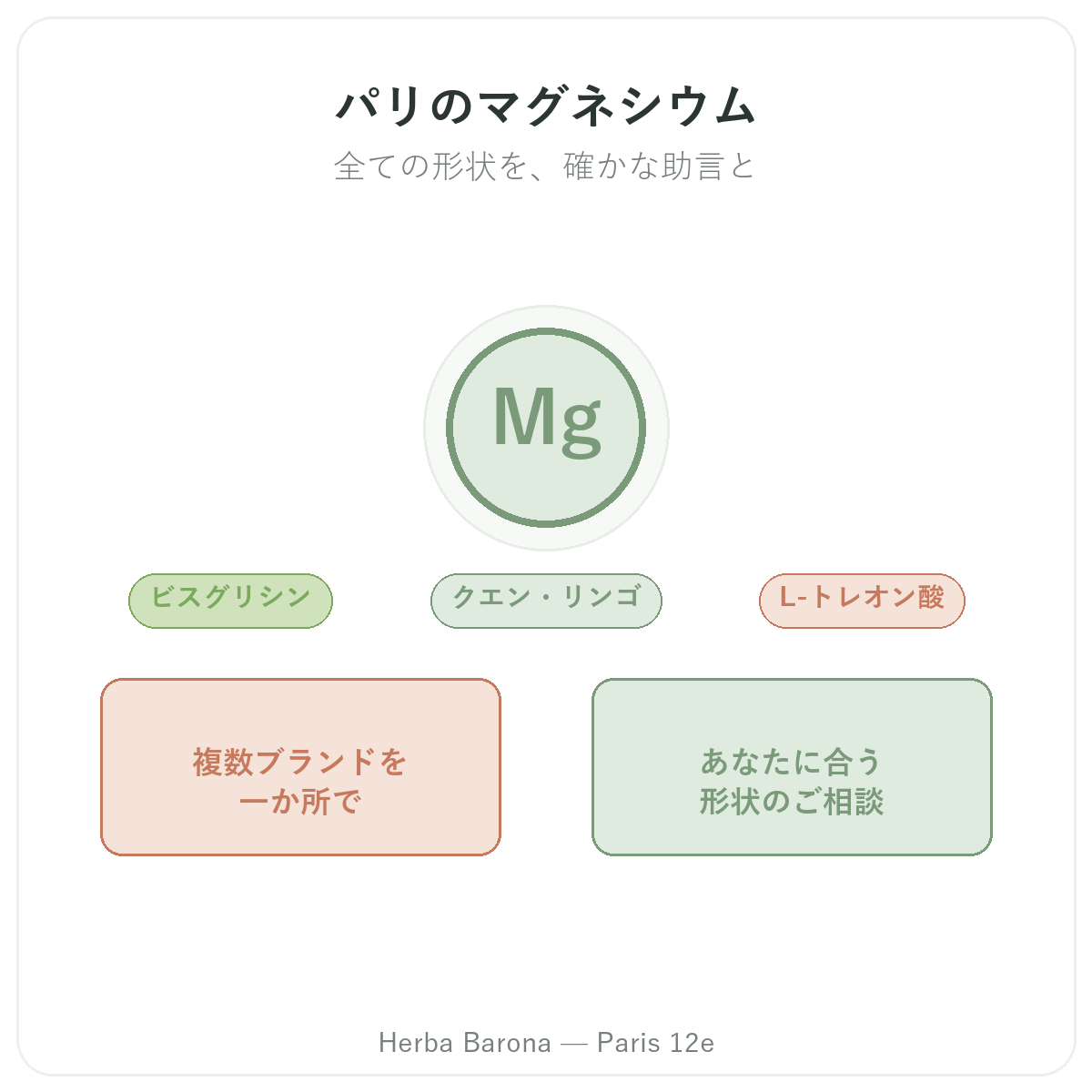 マグネシウム パリ - ブランド紹介 Herba Barona パリ12区