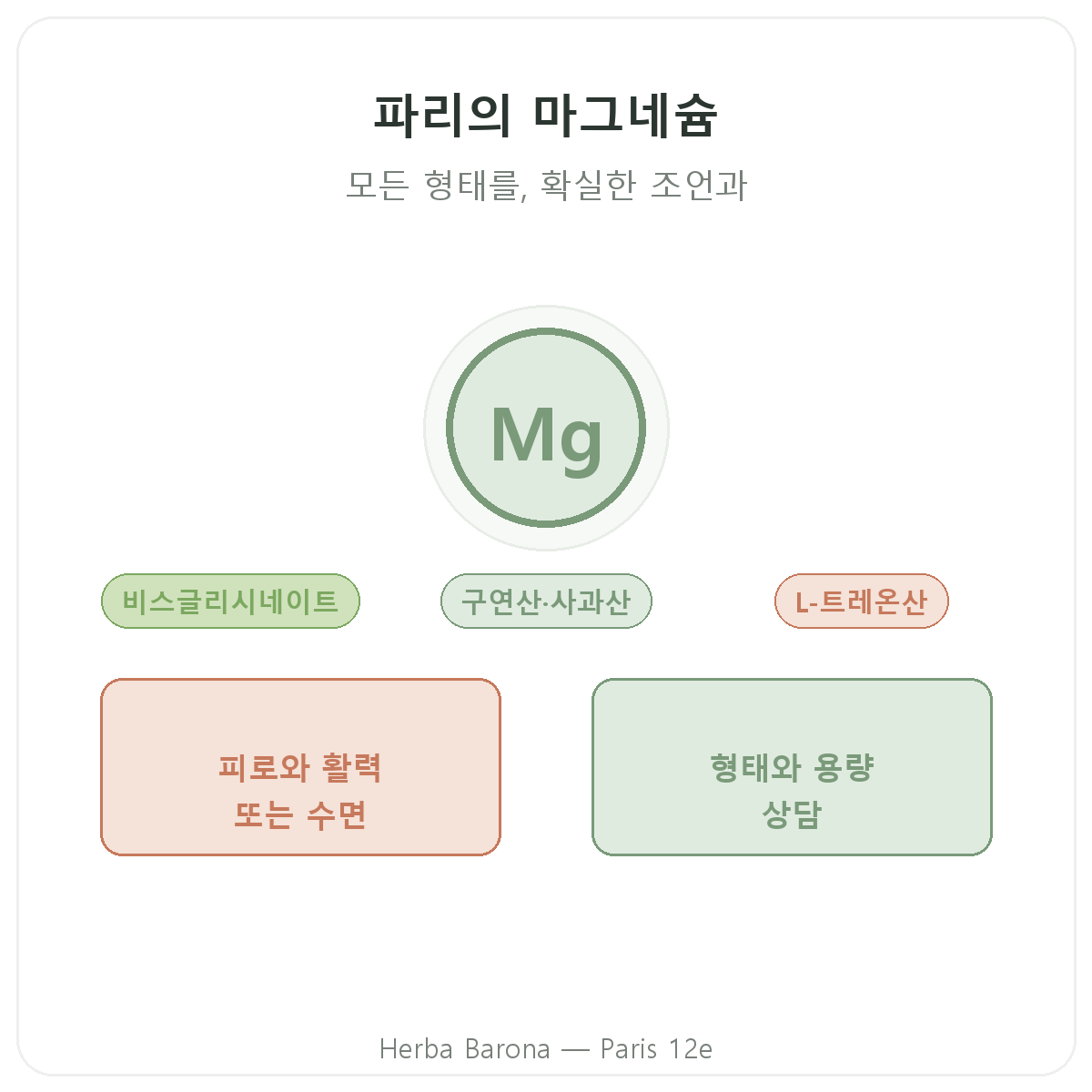 마그네슘 파리 - 브랜드 소개, Herba Barona 파리 12구