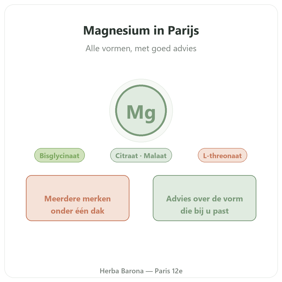 Magnesium in Parijs - presentatie van het merk bij Herba Barona Parijs 12e