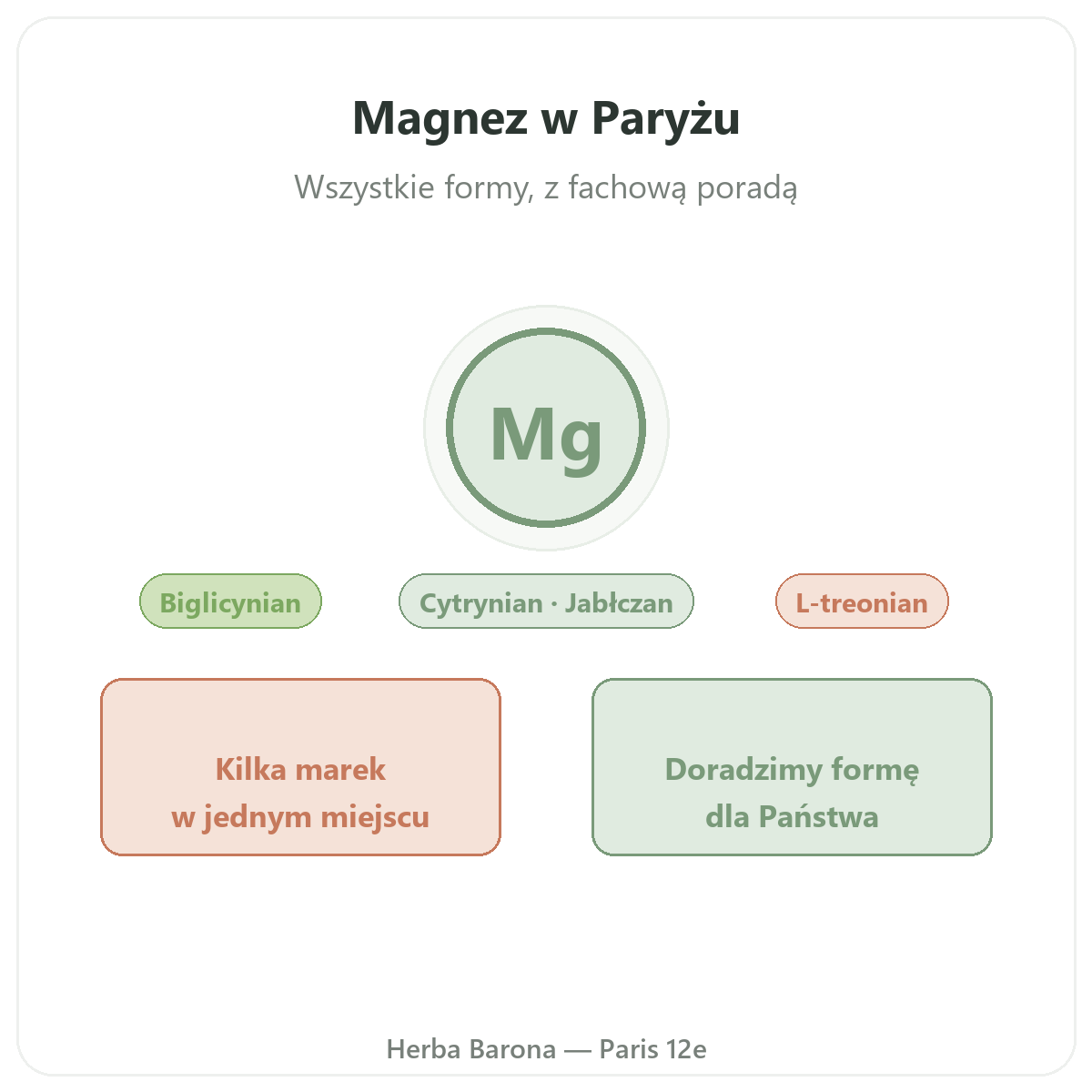 Magnez — prezentacja marki, wysyłka do Polski — Herba Barona